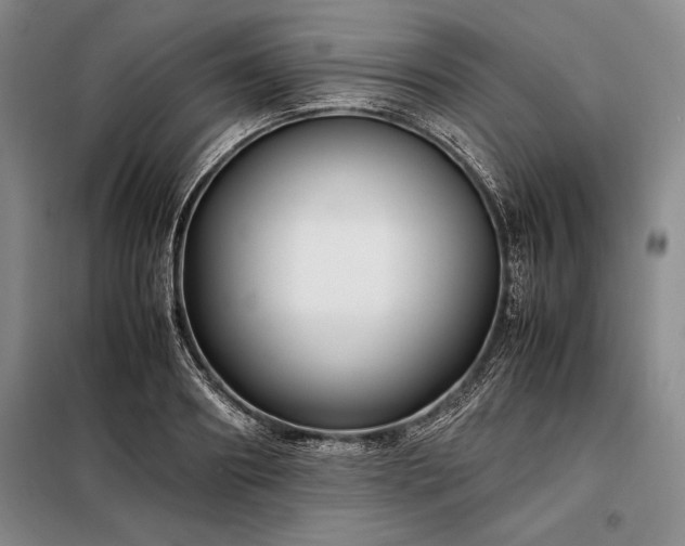 X0000098190890200805011120