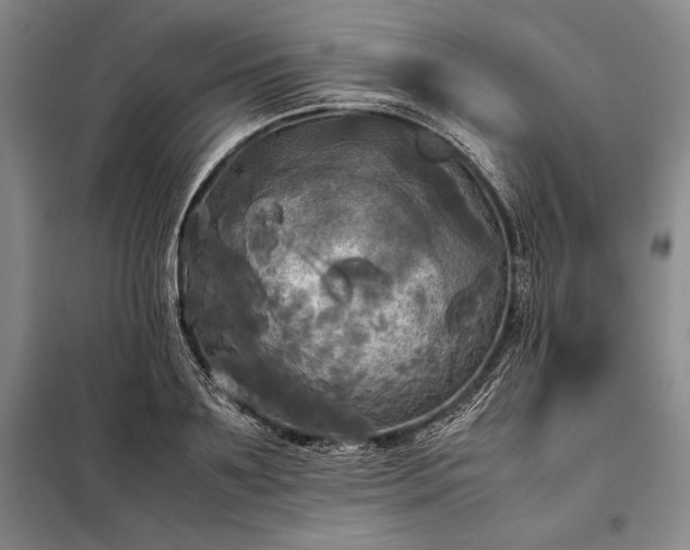 X0000098190891200805011120