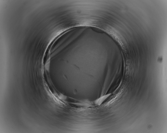 X0000098190892200805011120