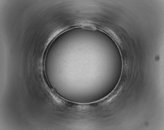 X0000098190893200805011120
