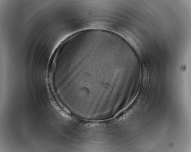 X0000098190896200805011120