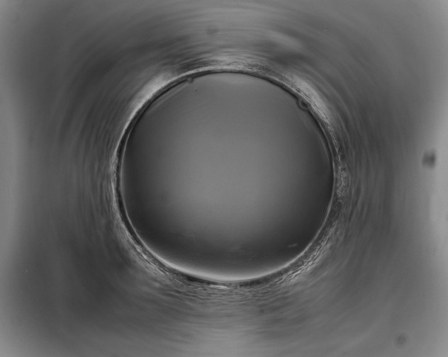 X0000098190899200805011120