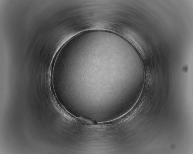 X0000098190900200805011120