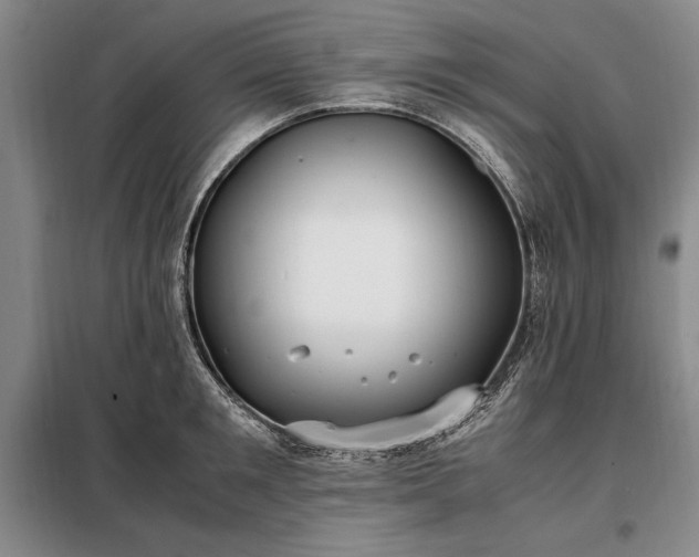 X0000098190901200805011120