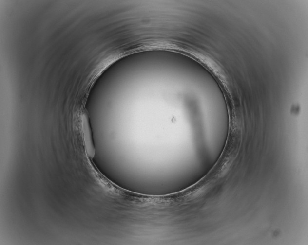 X0000098190905200805011120