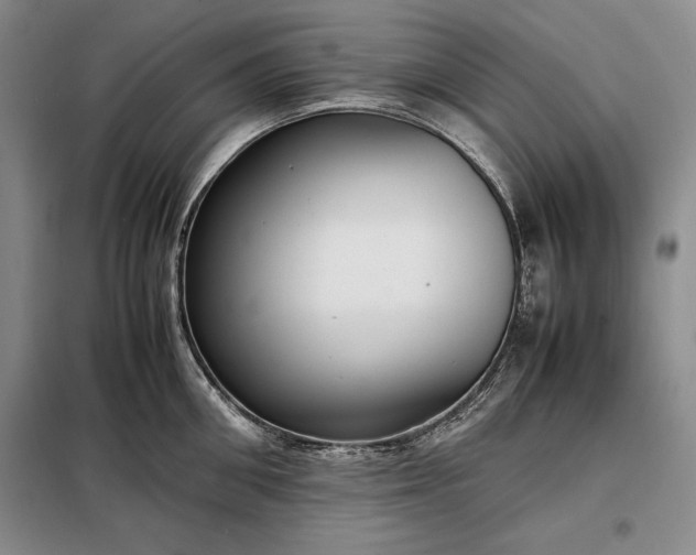X0000098190906200805011120