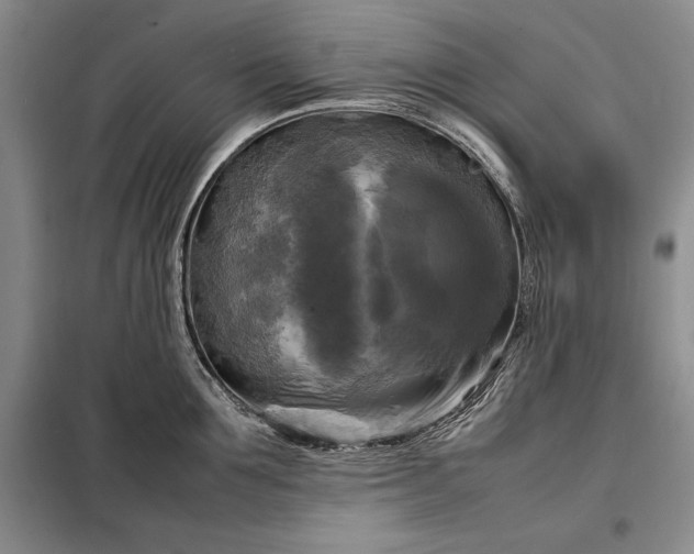 X0000098190907200805011120