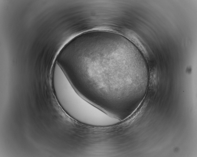 X0000098190908200805011120