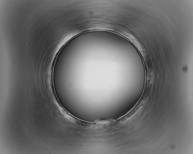 X0000098190909200805011120