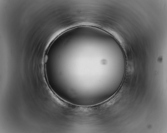 X0000098190910200805011120