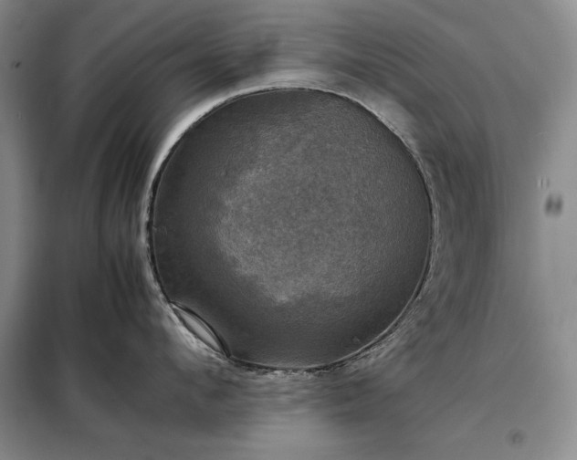 X0000098190912200805011120