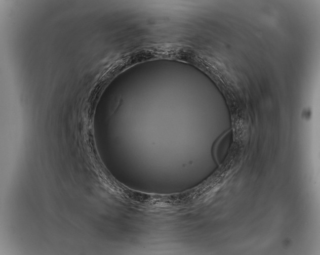 X0000098190913200805011119