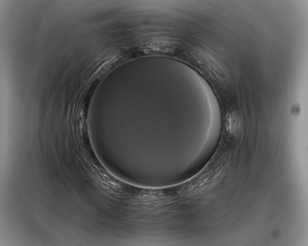 X0000098190915200805011120