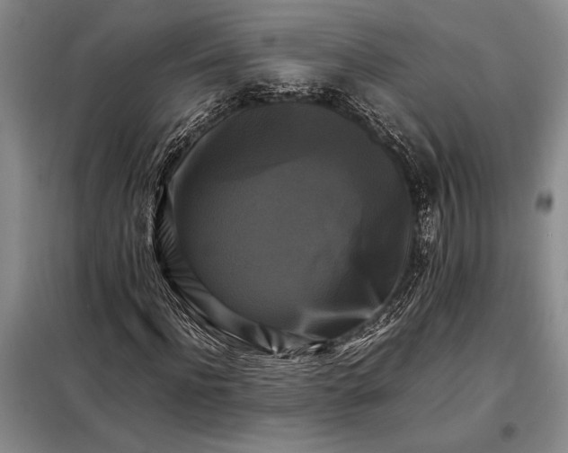 X0000098190916200805011120