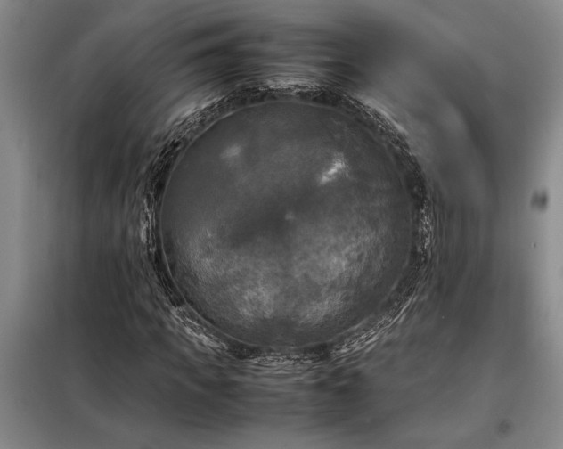X0000098190917200805011120