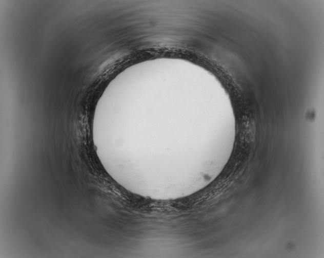 X0000098190918200805011120