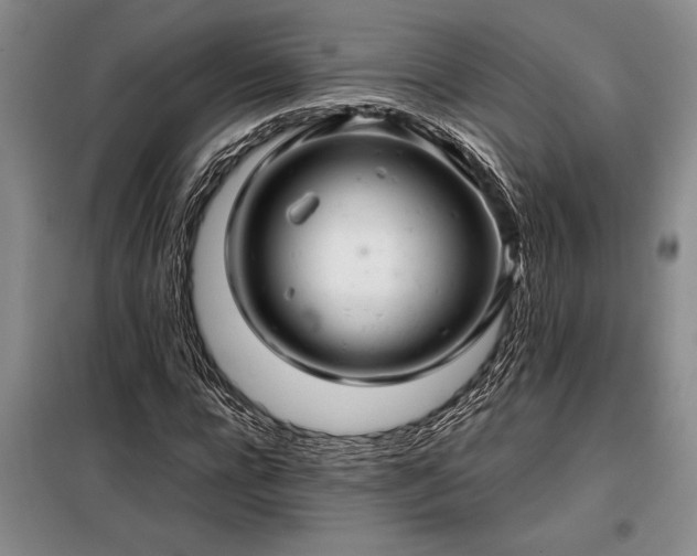X0000098190920200805011120