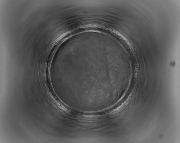 X0000098190921200805011120