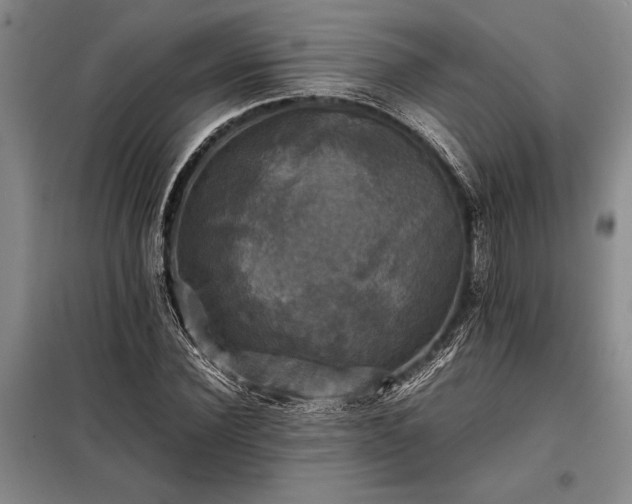 X0000098190924200805011120