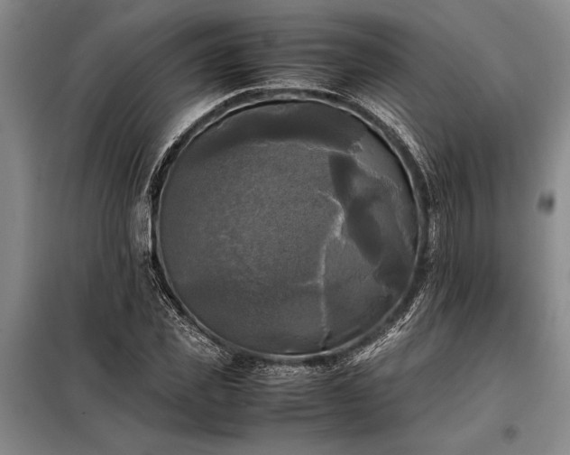 X0000098190925200805011120