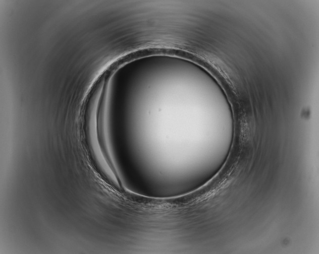 X0000098190926200805011120
