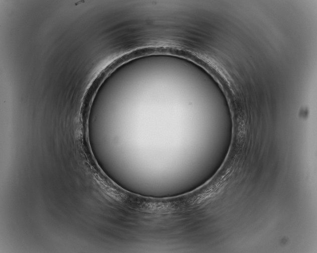 X0000098190927200805011120