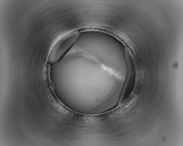 X0000098190928200805011120