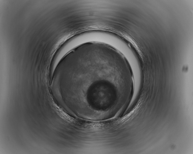 X0000098190930200805011120