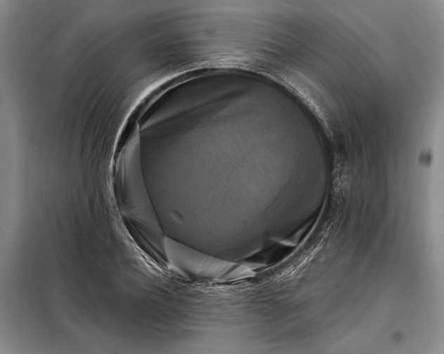 X0000098190932200805011120