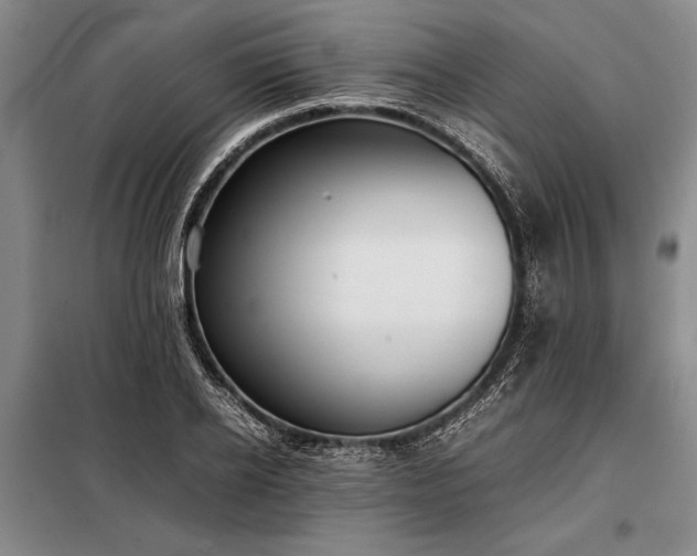 X0000098190934200805011120