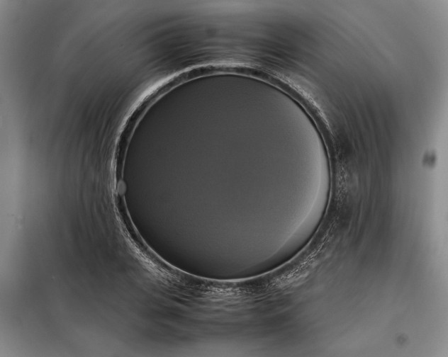 X0000098190935200805011120
