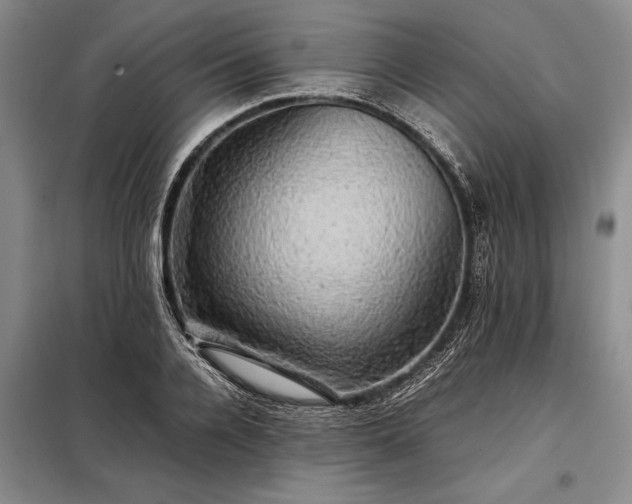 X0000098190936200805011120