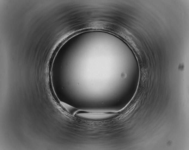 X0000098190939200805011120