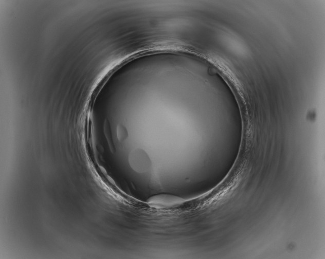 X0000098190941200805011120