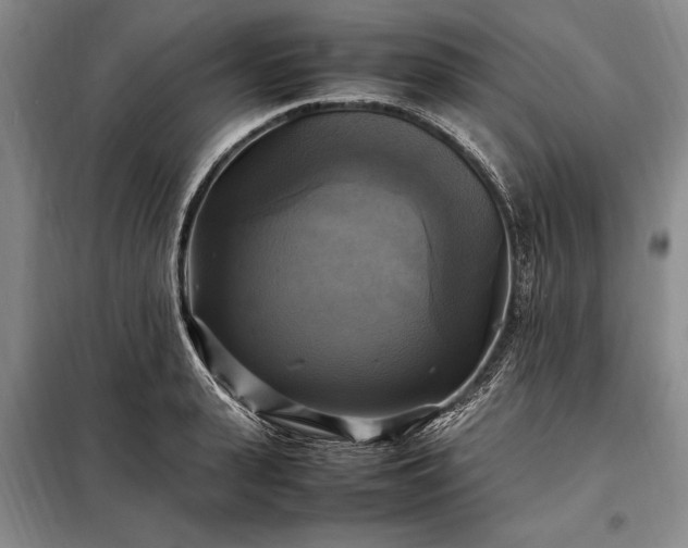 X0000098190943200805011120