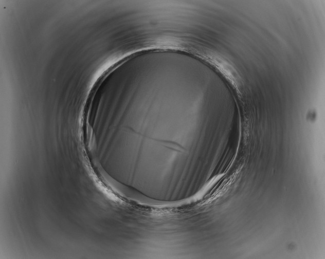 X0000098190944200805011120