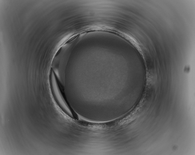 X0000098190946200805011120