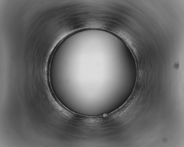 X0000098190947200805011120