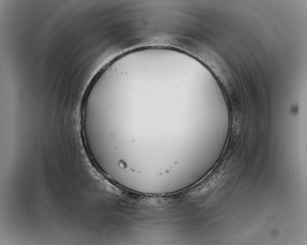 X0000098190950200805011120