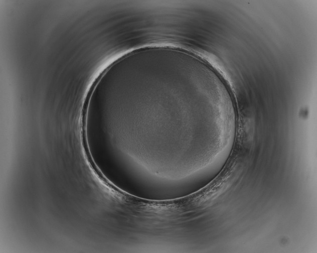 X0000098190951200805011120