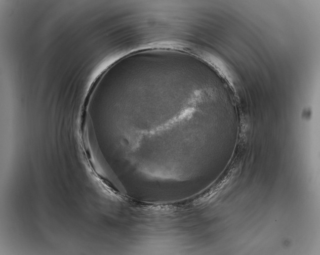 X0000098190952200805011120