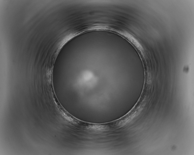 X0000098190953200805011120