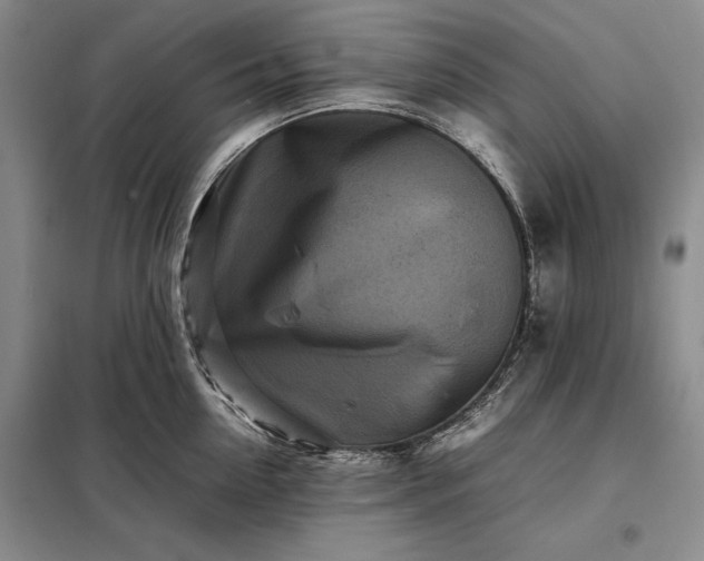 X0000098190954200805011120