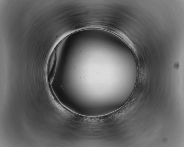 X0000098190955200805011120