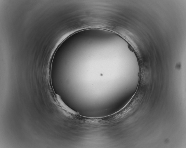 X0000098190956200805011120