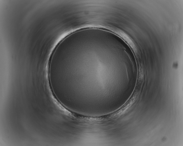 X0000098190958200805011120