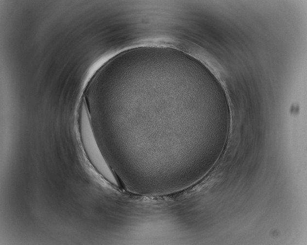 X0000098190960200805011120
