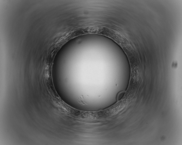X0000098190962200805011119
