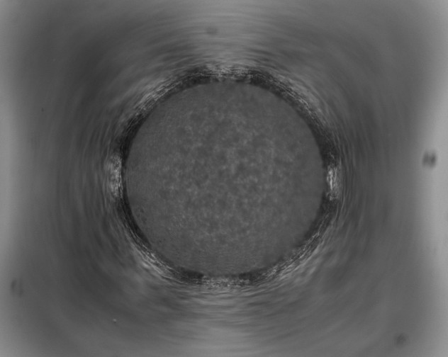 X0000098190963200805011119