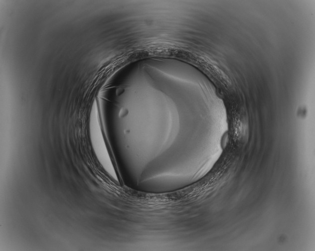 X0000098190964200805011119